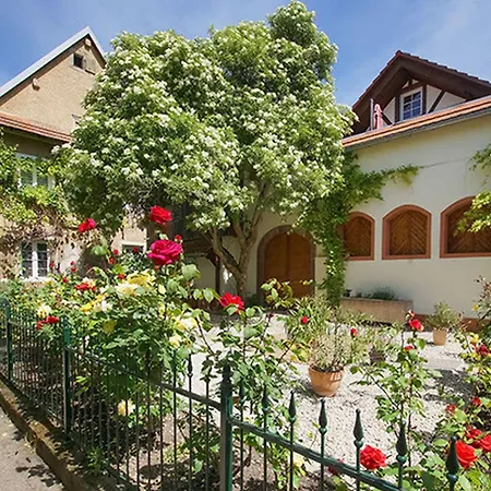 Altes Rathaus Apartmán